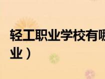 輕工職業(yè)學(xué)校有哪些專業(yè)（職業(yè)學(xué)校有哪些專業(yè)）