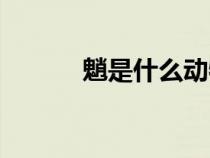 魈是什么動物（獴是什么動物）