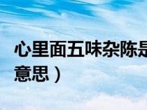 心里面五味雜陳是什么意思（五味雜陳是什么意思）