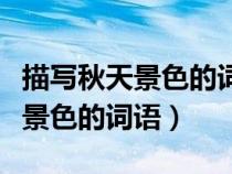 描寫秋天景色的詞語四個字有哪些（描寫秋天景色的詞語）