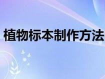 植物標(biāo)本制作方法圖解（植物標(biāo)本制作方法）