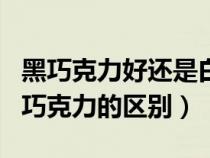 黑巧克力好還是白巧克力好吃(黑巧克力和白巧克力的區(qū)別) 黑巧克力好還是白巧克力好吃(黑巧克力和白巧克力的區(qū)別)