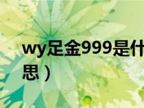 wy足金999是什么意思(足金999是什么意思) wy足金999是什么意思(足金999是什么意思)