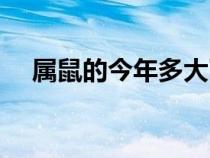 屬鼠的今年多大了(屬狗的今年多大了) 屬鼠的今年多大了(屬狗的今年多大了)