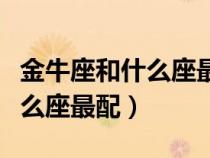 金牛座和什么座最配對(duì)婚姻最好(金牛座和什么座最配) 金牛座和什么座最配對(duì)婚姻最好(金牛座和什么座最配)