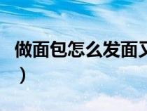 做面包怎么發(fā)面又松又軟（學(xué)做面包制作配方）