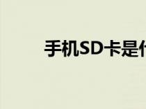 手機(jī)SD卡是什么卡(sd卡是什么) 手機(jī)SD卡是什么卡(sd卡是什么)