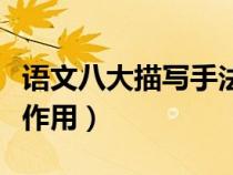 語(yǔ)文八大描寫手法有哪些(描寫手法有哪些及作用) 語(yǔ)文八大描寫手法有哪些(描寫手法有哪些及作用)