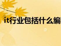 it行業(yè)包括什么編程語言（it行業(yè)包括什么）