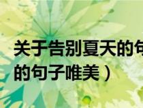 關(guān)于告別夏天的句子唯美圖片（關(guān)于告別夏天的句子唯美）