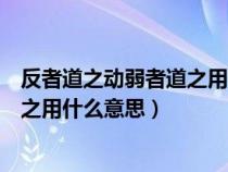 反者道之動(dòng)弱者道之用什么意思康老師（反者道之動(dòng)弱者道之用什么意思）