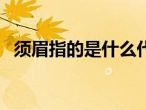 須眉指的是什么代稱（須眉的另一個名稱）