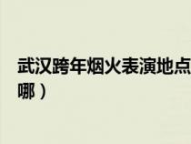 武漢跨年煙火表演地點(diǎn)在哪舉行(武漢跨年煙火表演地點(diǎn)在哪) 武漢跨年煙火表演地點(diǎn)在哪舉行(武漢跨年煙火表演地點(diǎn)在哪)