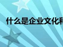 什么是企業(yè)文化和使命（什么是企業(yè)文化）