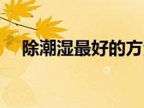 除潮濕最好的方法（除潮濕最快的方法）