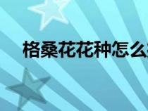 格桑花花種怎么播種（格?；ㄔ趺床シN）