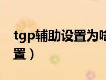tgp輔助設(shè)置為啥點(diǎn)不了呢(tgp高跳如何設(shè)置) tgp輔助設(shè)置為啥點(diǎn)不了呢(tgp高跳如何設(shè)置)
