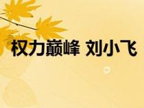 權(quán)力巔峰 劉小飛(權(quán)力巔峰劉小飛大結(jié)局) 權(quán)力巔峰 劉小飛(權(quán)力巔峰劉小飛大結(jié)局)