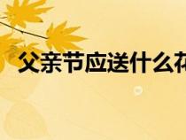 父親節(jié)應(yīng)送什么花(父親節(jié)適合送哪些花) 父親節(jié)應(yīng)送什么花(父親節(jié)適合送哪些花)