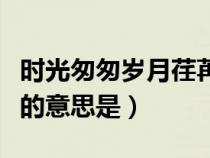 時(shí)光匆匆歲月荏苒的含義（時(shí)光匆匆歲月荏苒的意思是）