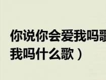 你說(shuō)你會(huì)愛(ài)我嗎歌詞(你說(shuō)你會(huì)愛(ài)我嗎真的愛(ài)我嗎什么歌) 你說(shuō)你會(huì)愛(ài)我嗎歌詞(你說(shuō)你會(huì)愛(ài)我嗎真的愛(ài)我嗎什么歌)