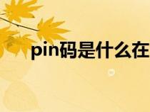 pin碼是什么在哪里看（pin碼是什么）
