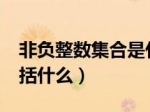 非負整數(shù)集合是什么意思?（非負整數(shù)集合包括什么）