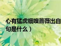 心有猛虎細嗅薔薇出自哪一本書（心有猛虎細嗅薔薇的下一句是什么）