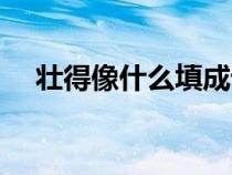 壯得像什么填成語（壯得像什么填詞語）