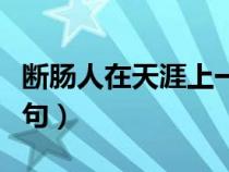 斷腸人在天涯上一句是啥（斷腸人在天涯上一句）