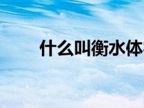 什么叫衡水體字母（什么叫衡水體）