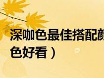 深咖色最佳搭配顏色好看（淺咖啡色配什么顏色好看）