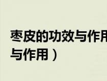 棗皮的功效與作用的功能與主治（棗皮的功效與作用）
