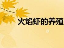 火焰蝦的養(yǎng)殖條件（火焰蝦的養(yǎng)殖）