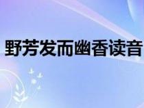 野芳發(fā)而幽香讀音（野芳發(fā)而幽香而的用法）