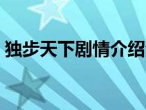 獨步天下劇情介紹全集（獨步天下劇情介紹）