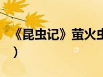 《昆蟲(chóng)記》螢火蟲(chóng)的特征(昆蟲(chóng)記螢火蟲(chóng)習(xí)性) 《昆蟲(chóng)記》螢火蟲(chóng)的特征(昆蟲(chóng)記螢火蟲(chóng)習(xí)性)
