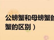 公螃蟹和母螃蟹的區(qū)別在哪兒（公螃蟹和母螃蟹的區(qū)別）
