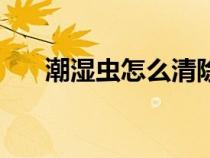 潮濕蟲怎么清除（潮濕蟲怎么消滅掉）
