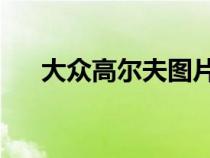 大眾高爾夫圖片（大眾Polo是什么車）
