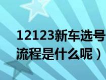 12123新車選號流程技巧（12123新車選號流程是什么呢）