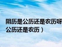 陰歷是公歷還是農(nóng)歷呀龍年的對聯(lián)龍年的祝福詩詞（陰歷是公歷還是農(nóng)歷）