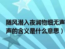隨風潛入夜?jié)櫸锛殶o聲是什么意思呢（隨風潛入夜?jié)櫸锛殶o聲的含義是什么意思）