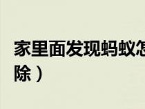 家里面發(fā)現(xiàn)螞蟻怎么辦(家里發(fā)現(xiàn)螞蟻怎么根除) 家里面發(fā)現(xiàn)螞蟻怎么辦(家里發(fā)現(xiàn)螞蟻怎么根除)