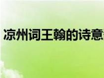 涼州詞王翰的詩意翻譯（涼州詞王翰的詩意）