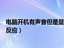 電腦開機有聲音但是顯示器不亮（電腦開機有聲音顯示器沒反應）