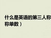 什么是英語的第三人稱單數(shù)形式（在英語中什么叫做第三人稱單數(shù)）