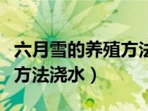 六月雪的養(yǎng)殖方法澆水怎么澆（六月雪的養(yǎng)殖方法澆水）