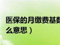 醫(yī)保的月繳費基數(shù)是什么意思（繳費基數(shù)是什么意思）