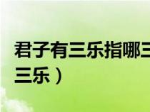 君子有三樂指哪三樂的意思（君子有三樂指哪三樂）